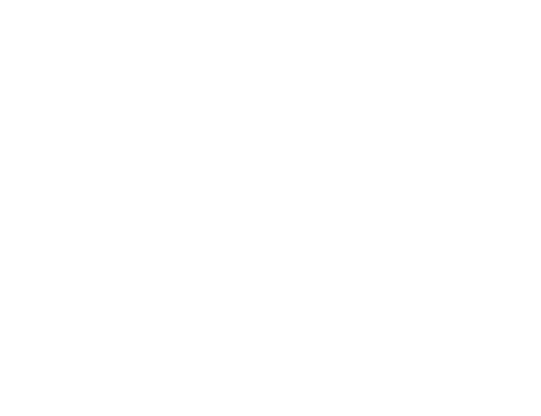 PCO White logo